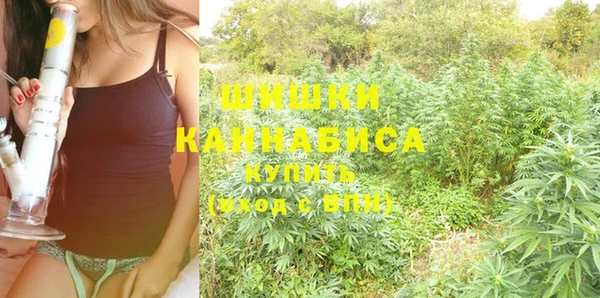 эйфоретик Краснослободск