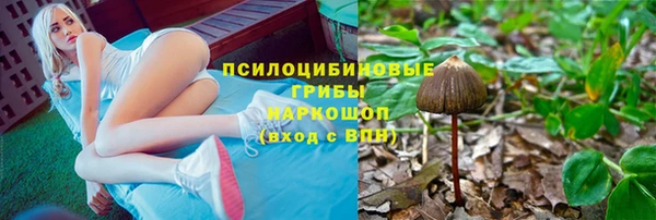эйфоретик Краснослободск
