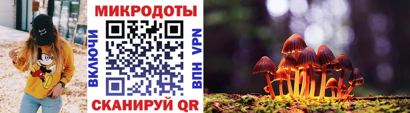 Купить закладки  Выкса  Псилоцибиновые грибы Cubensis 